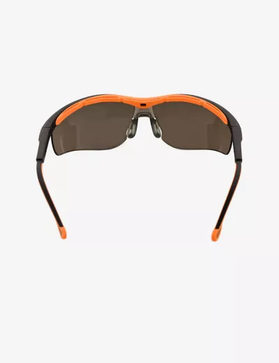 Safety Spectacles, BXPE0514IN