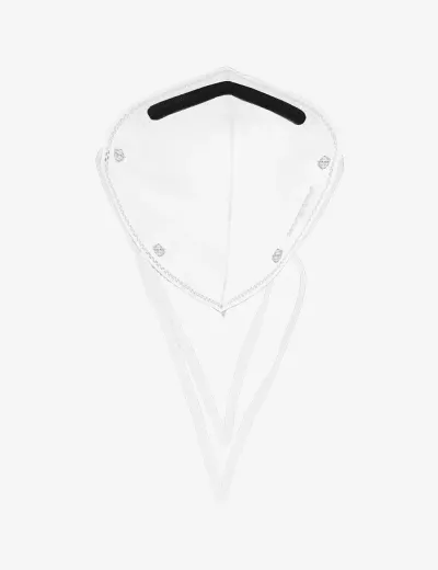 FFP1S Disposable Face Respirator with Headbands, RFH01