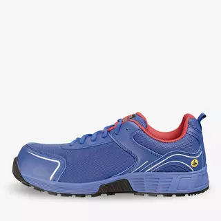 AAK S1P LOW