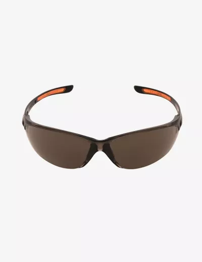 Safety Spectacles, BXPE0515IN
