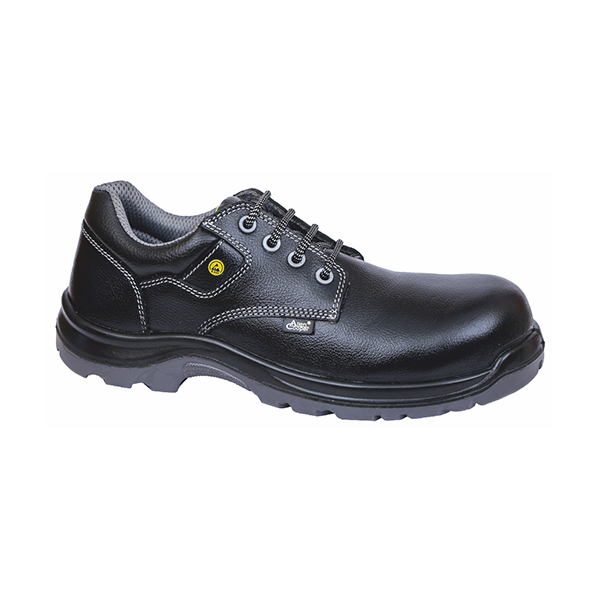 ESD ACL-11297